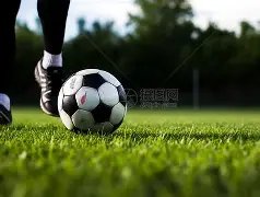 独家揭秘,揭秘大巴黎,球场霸主地,Bg大游真人娱乐官方网站,视频直播,免费试玩,Big,Gaming